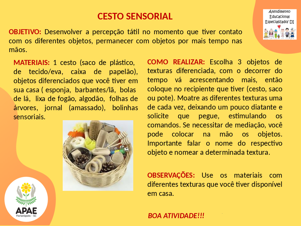 Cesto Sensorial - Serviço Pedagógico Específico
